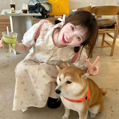 笨人寻春